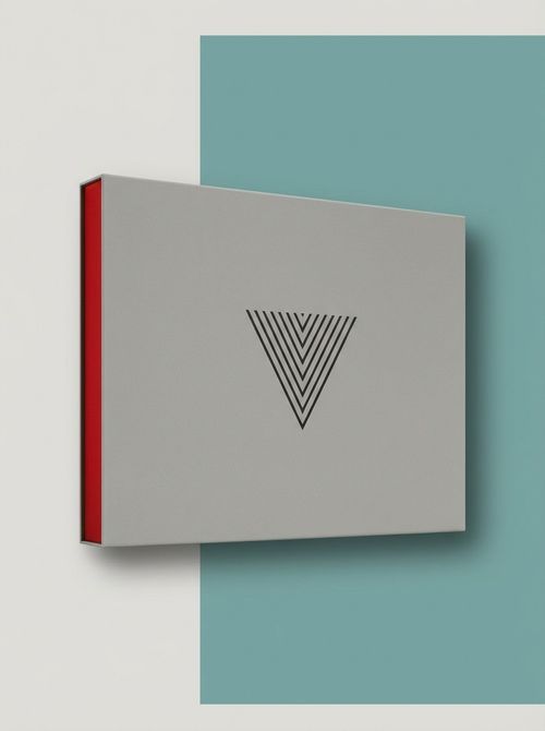 The Art and Making of Control Limited Edition