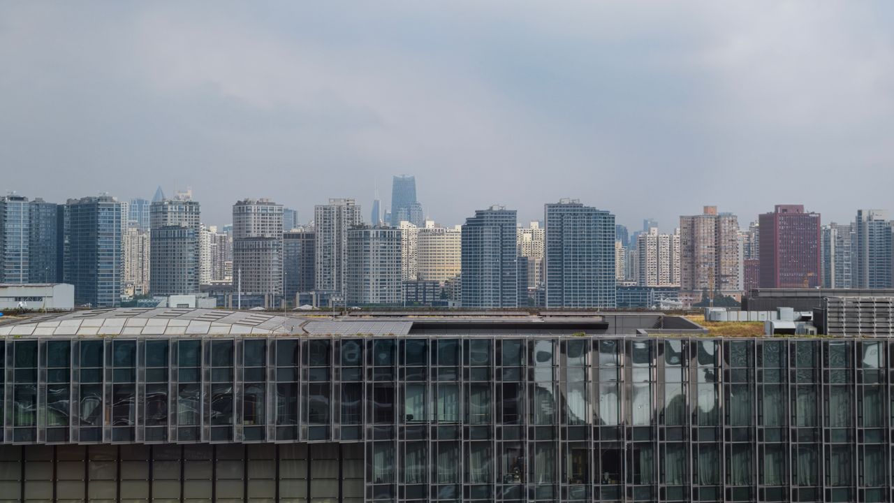 Vivo X500 Pro Max zoom shot