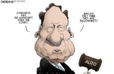 Political Cartoon