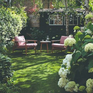 A garden with seating and a hydrangea bush at front