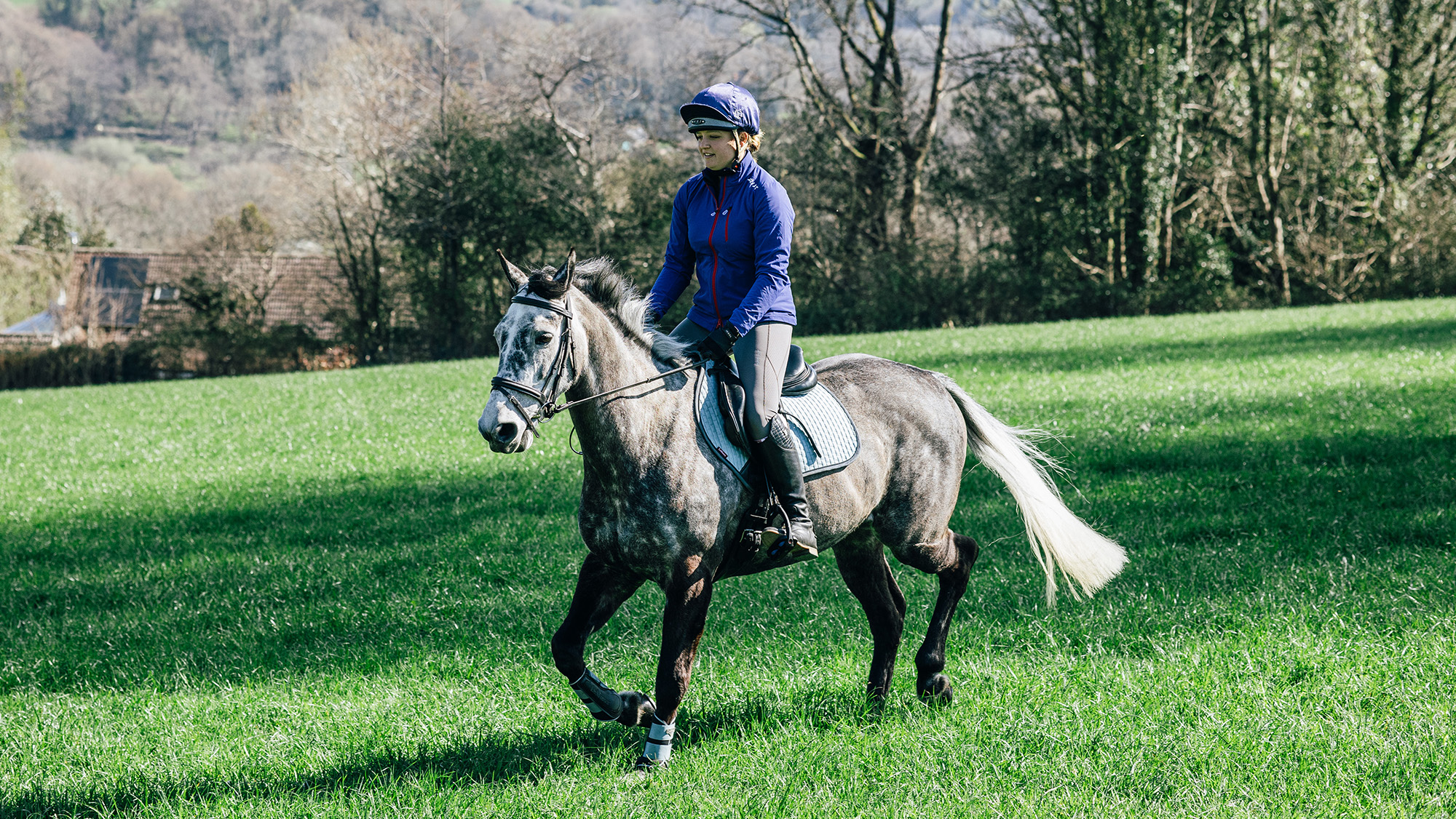Rider trotting in open field on a hack