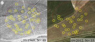 circles indicate location of marmot burrows in one sample plot