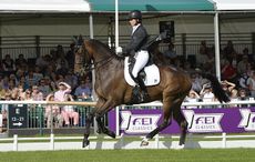 DESIGNER-10_Burghley_PN16_36109.jpg