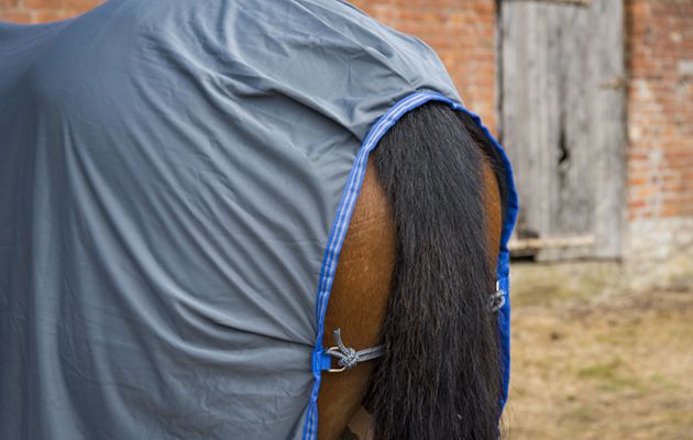 Weatherbeeta Ezi-Dri Standard Neck review