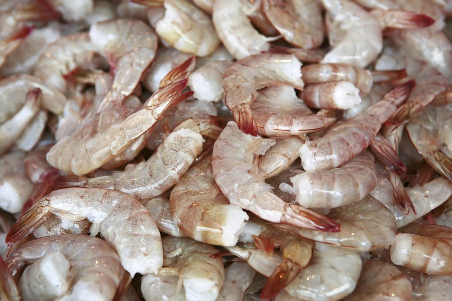 Shrimp: The key to preserving ancient artifacts?