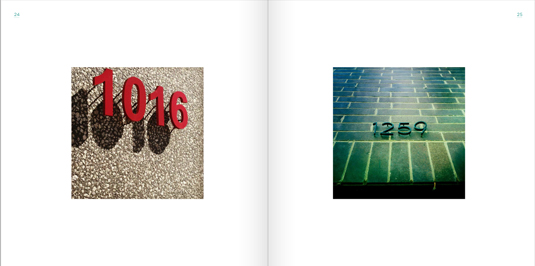 The book is divided into examples of numerals and lettering