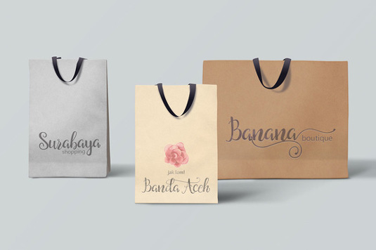Saldina font