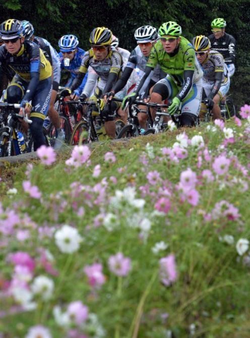 Flowers at the Japan Cup road race.