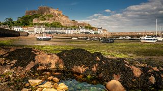 Low-tide landscapes 