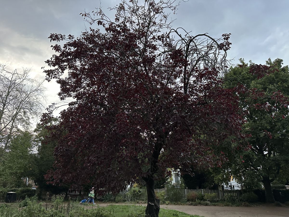 A photo taken on the iPhone 14 Pro