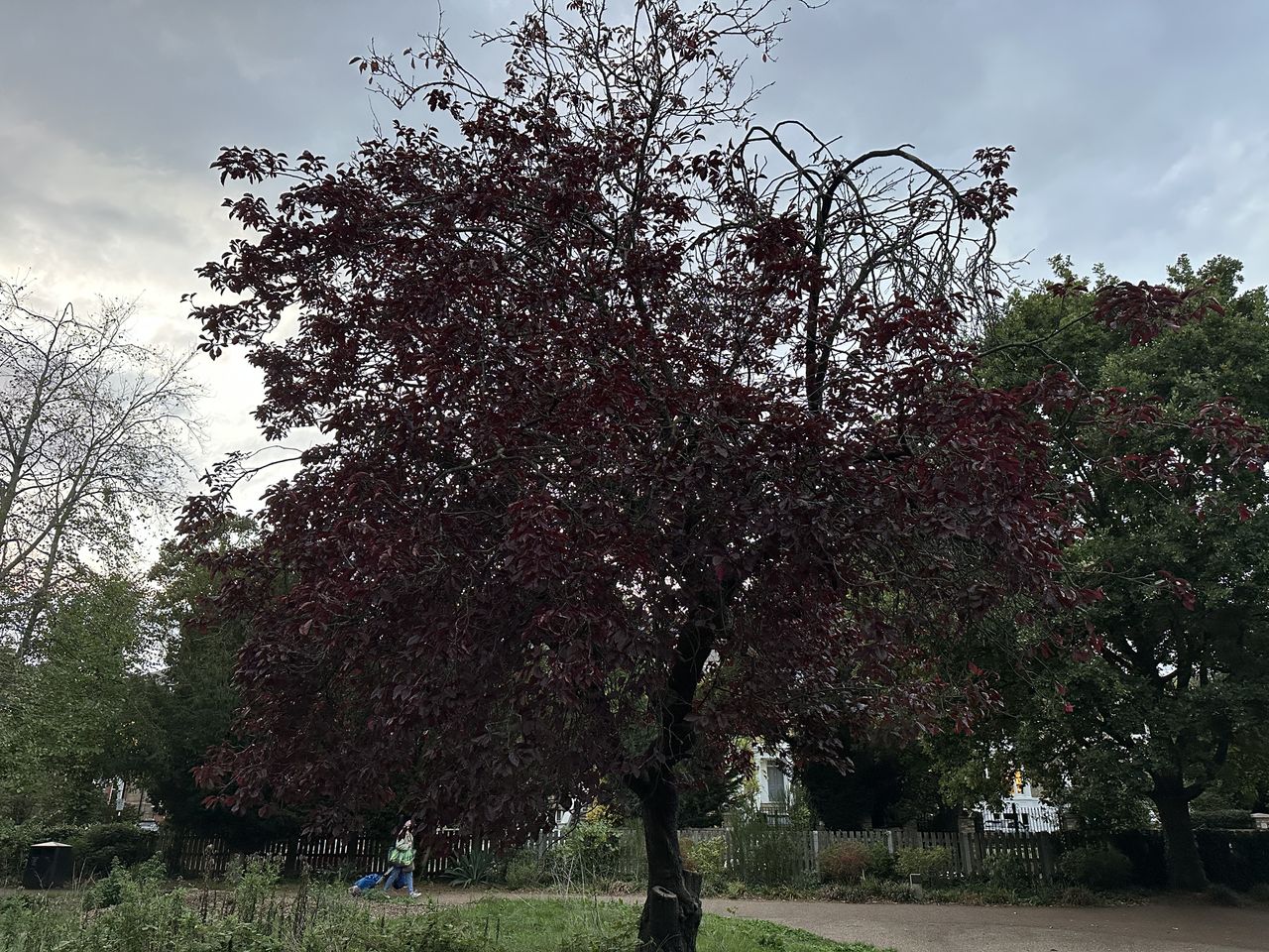 A photo taken on the iPhone 14 Pro