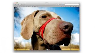 3 Crop resize tweak screenshots using Preview