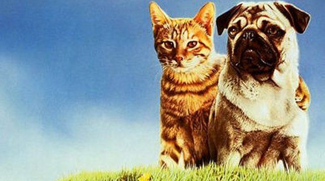 50 Greatest Talking Movie Animals 