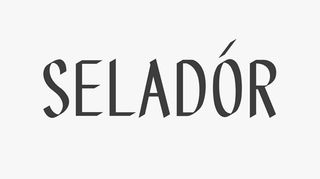 Selador font