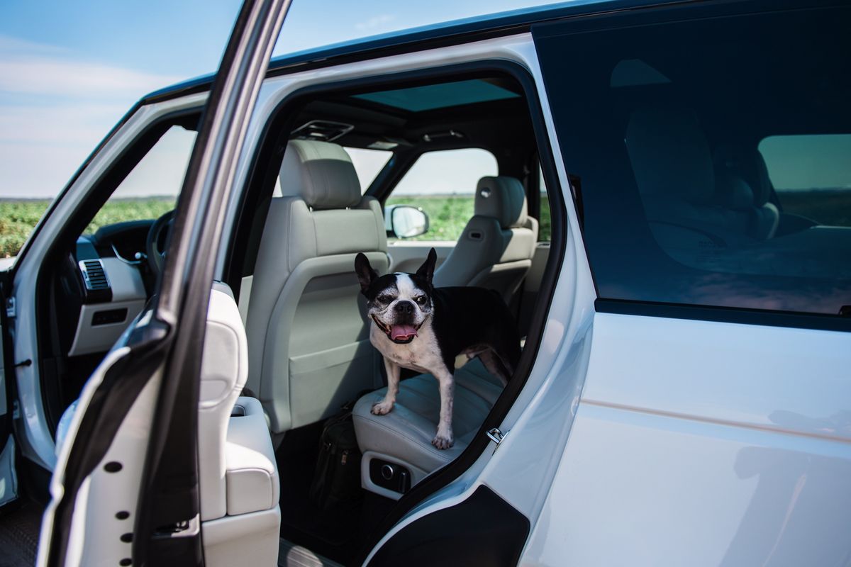Range Rover HSE TD6 luxury, offroad dominance, and great fuel economy