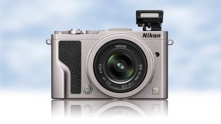 Nikon DL24-85