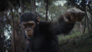 Noa the ape in Kingdom of the Planet of the Apes