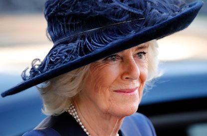 duchess camilla praised touching article important cause