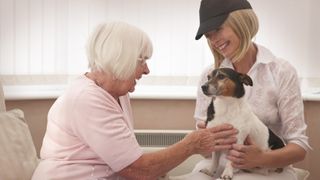 Therapy dog with elderly lady and handler