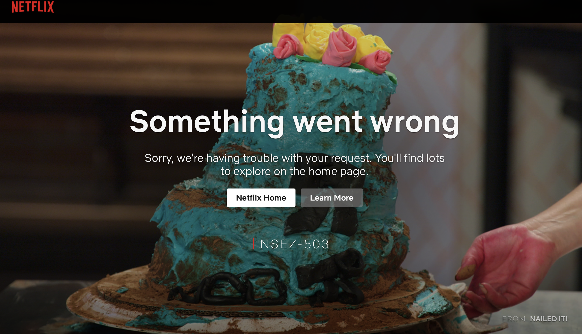 Netflix error