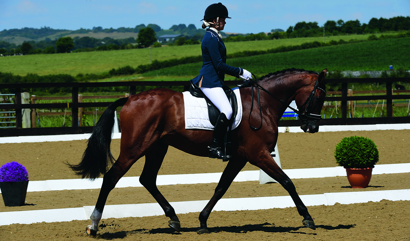 Luxy Amy on Rudy