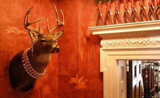 The taxidermy receives a makeover, "like a rock star and his girlfriend have come to live in a Georgian town house" explains Johnson