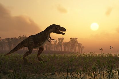 Study: Bad timing killed the dinosaurs
