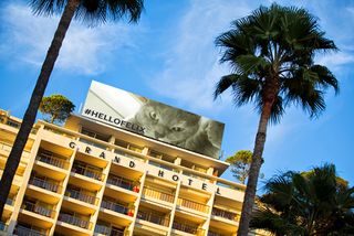 Cannes Film Festival kickstarter