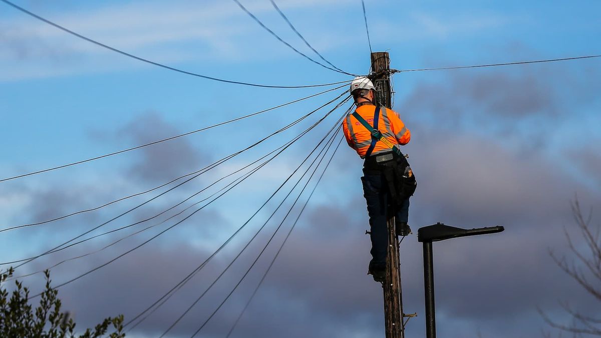 Openreach “whistleblower” claims company failed consult residents over telegraph pole installations