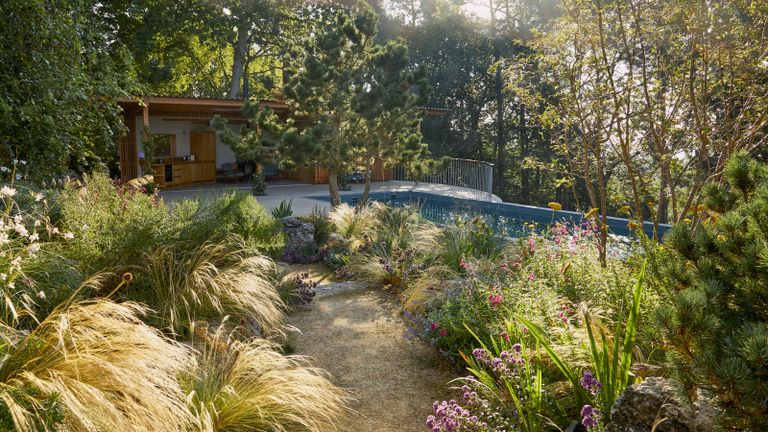 A pool in the shade of trees with prairie style planting and a pool house