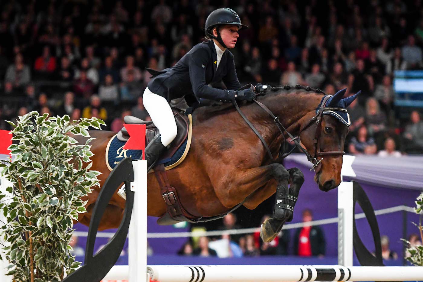 HOYS 08 10 21