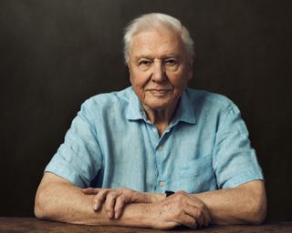 Sir David Attenborough in a blue shirt sits at a table against a dark background in Frozen Planet II.