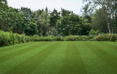 Lazy Stripe artificial grass by Lazy Lawn