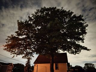 Motorola Razr Ultra 2026 camera sample.