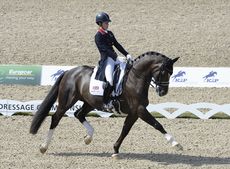 Valegro.jpg