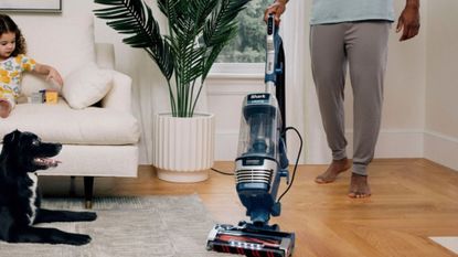 An example of what's on sale in the Shark Cyber Monday sales, a Shark Stratos Vacuum cleaning a carpet