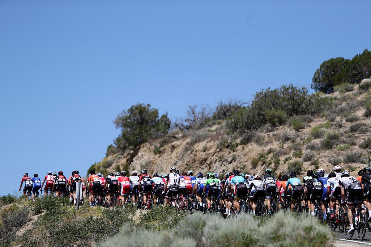 The peloton rolling along on stage 7