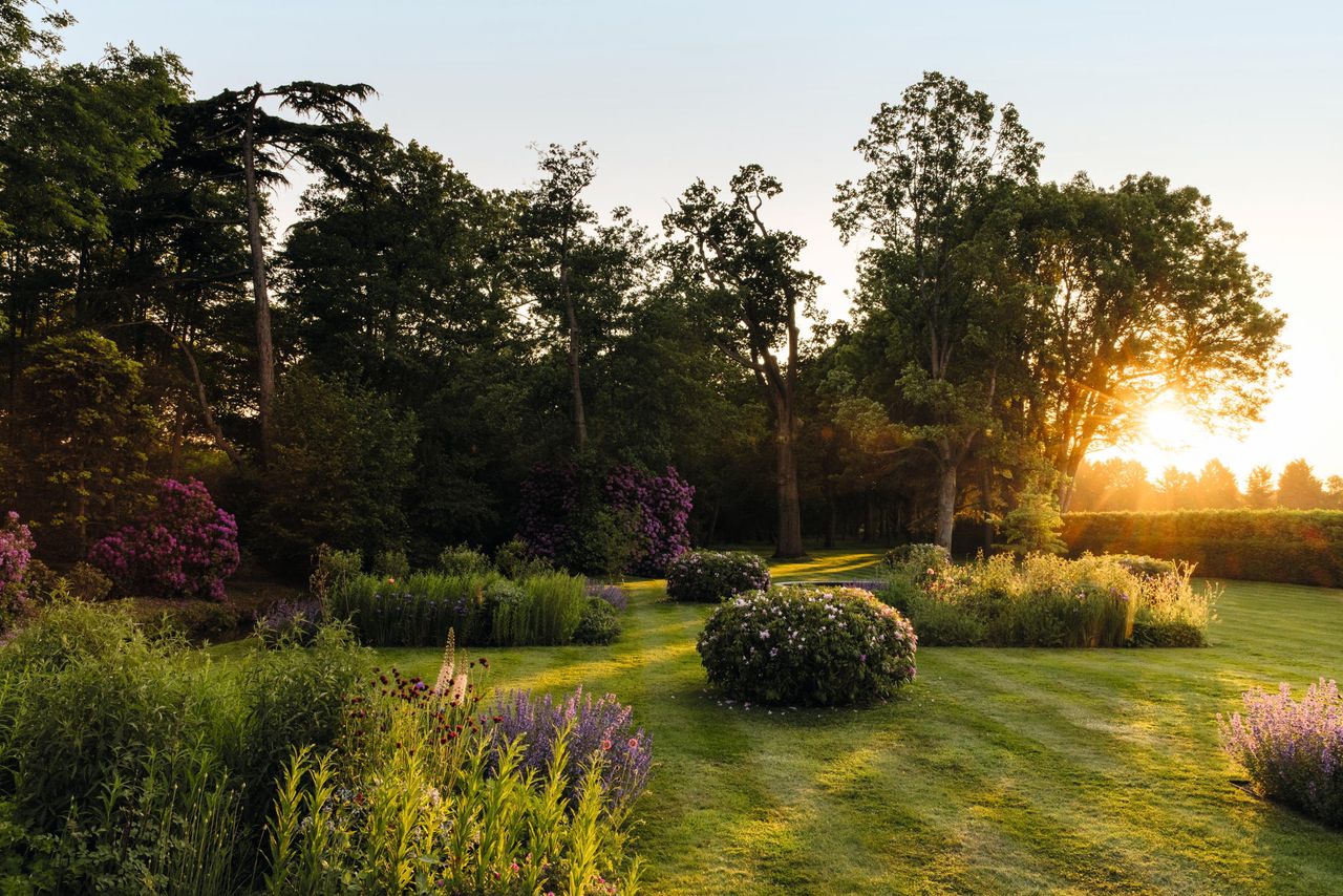 Beyond the terrace, planted beds and ‘buns’ of rhododendron lead the eye westwards to woodland. The garden at Emmetts Mill, Chobham, Surrey. Photo credit: Eva Nemeth.