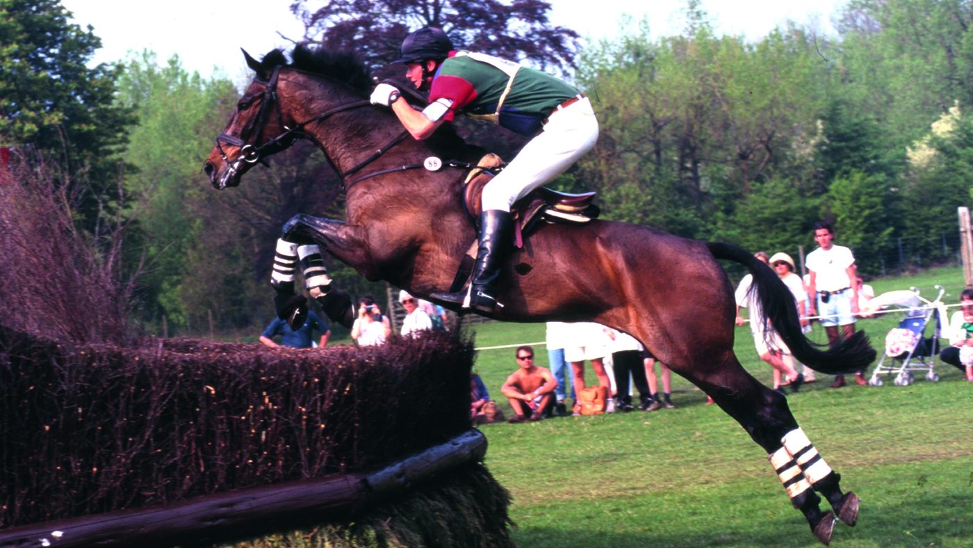 William Fox-Pitt - Chaka