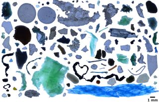 This photo collage shows plastic fragments found in the Arctic Ocean.