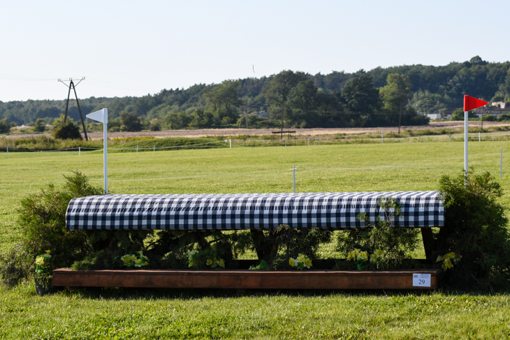Fence 29