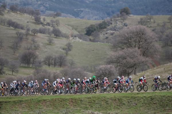 Haul Road is the distinguishing climb of stage one of the Merco Cycling Classic, and features the only KOM of the course.