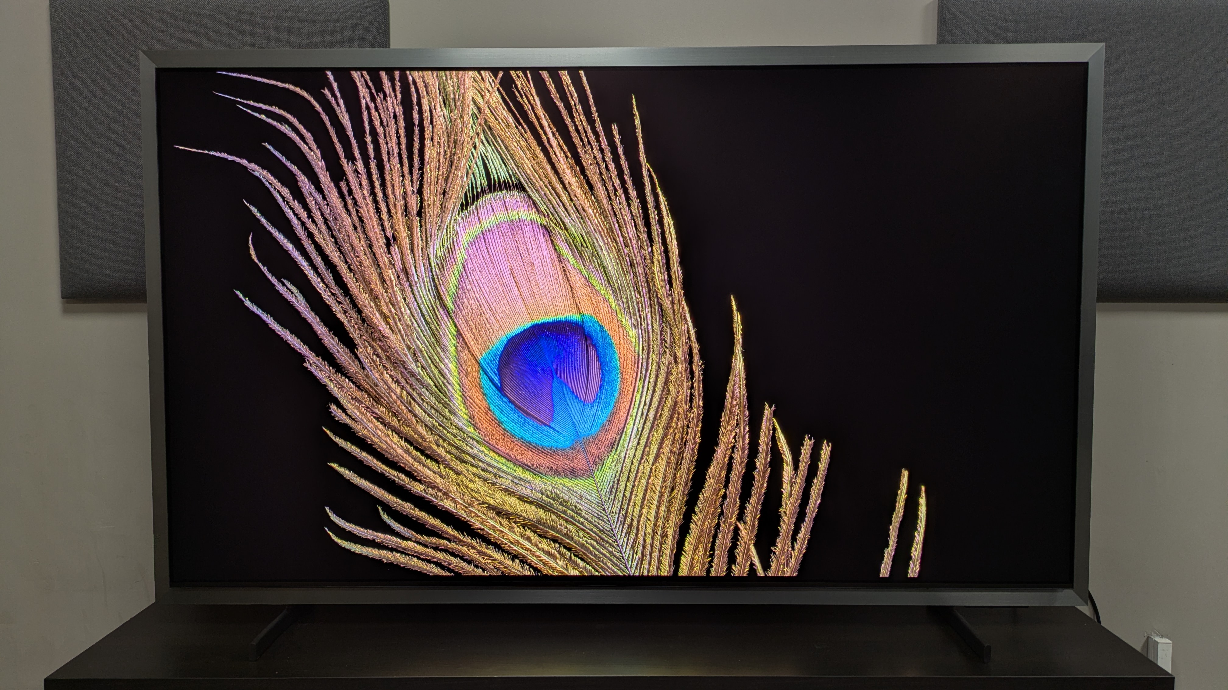 Samsung S99H with peacock feather on screen. The S99H shows good color and detail