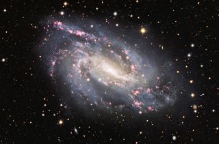 The spiral galaxy NGC 925 reveals cosmic pyrotechnics in its spiral arms where bursts of star formation are taking place in the red, glowing clouds scattered throughout it.