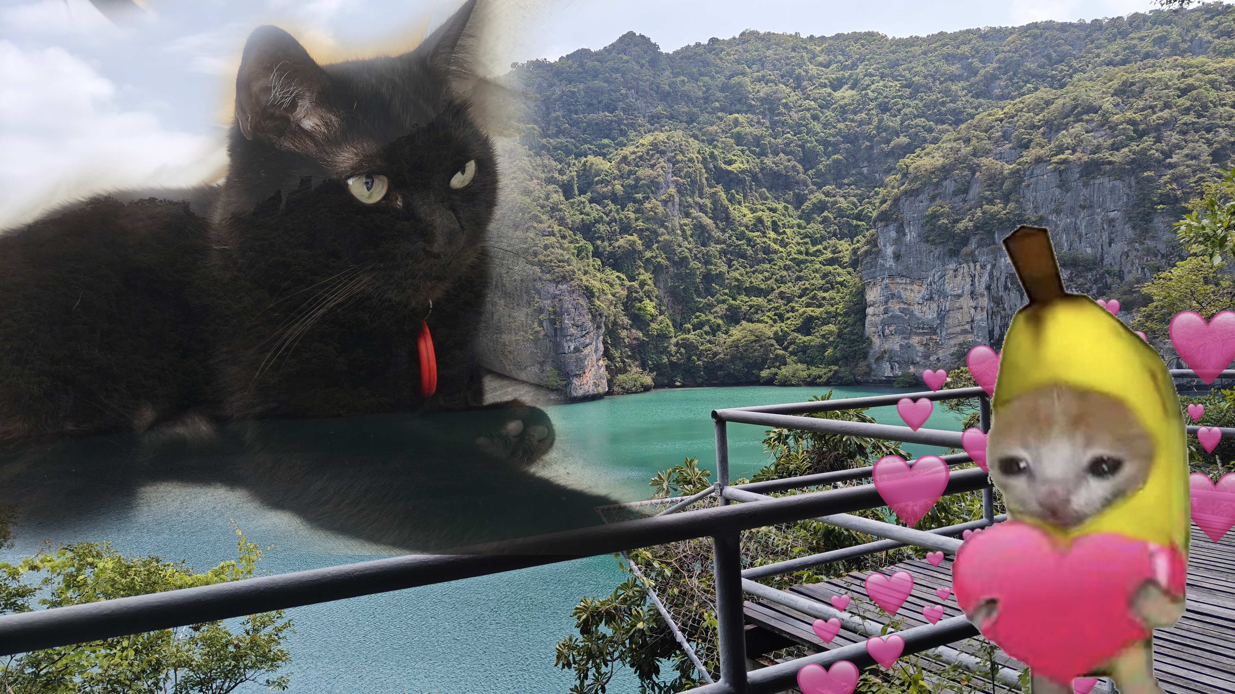 Pets and vacation meme