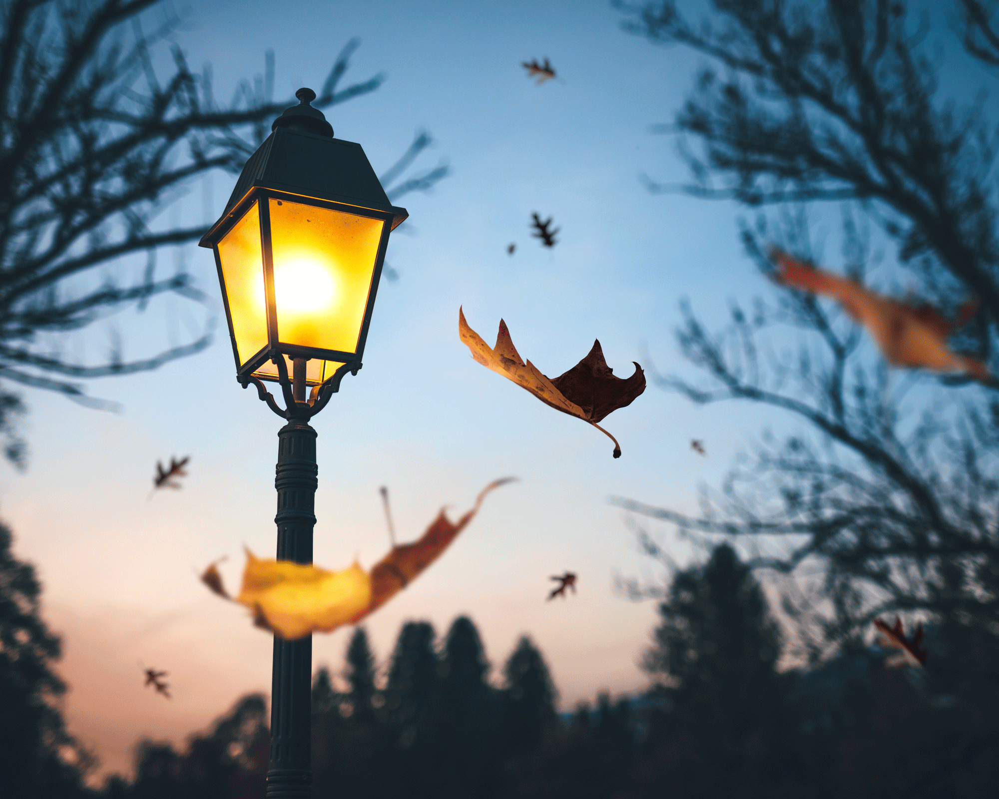 street lamp in fall