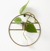 7" x 1.5" Wall Mounted Metal Plant Stand Vessel - Hilton Carter for Target for $10, at Target