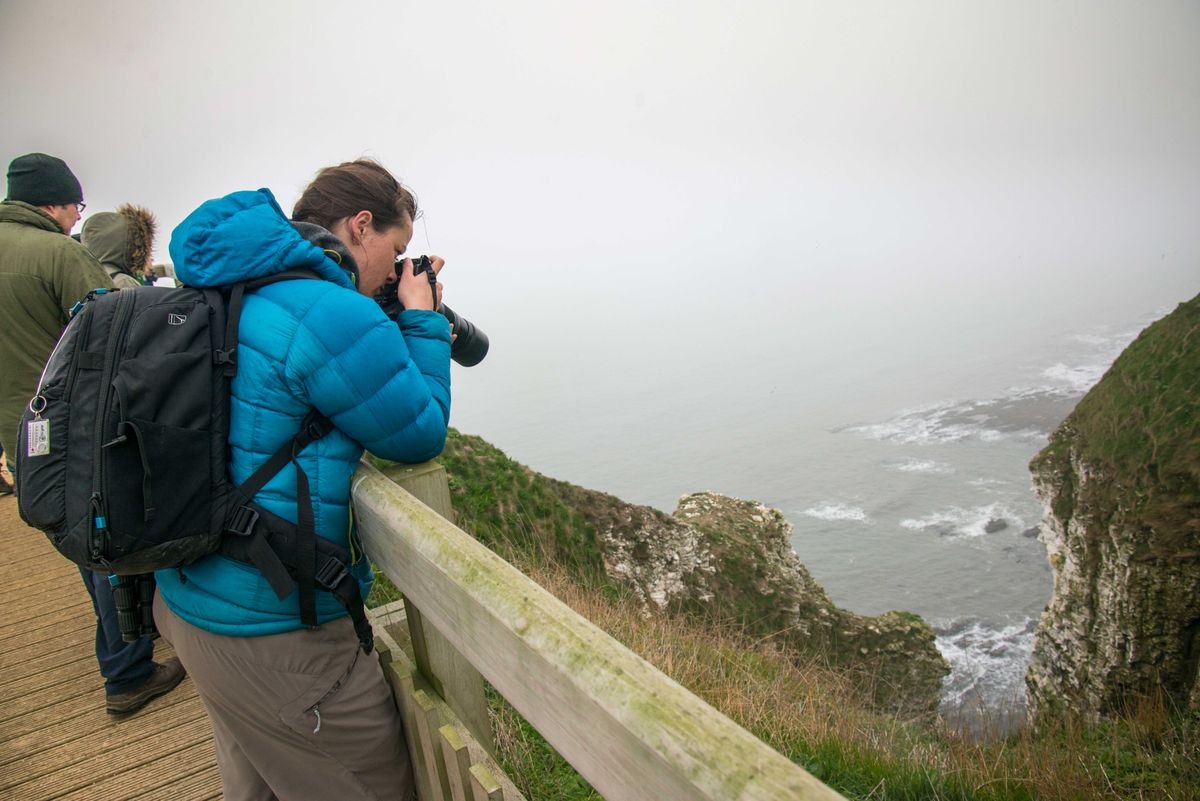 A day in the life of wildlife photographer Tesni Ward image 2