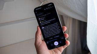 A transcript of a recording taken by the Google Recorder app on a Google Pixel 9 Pro XL