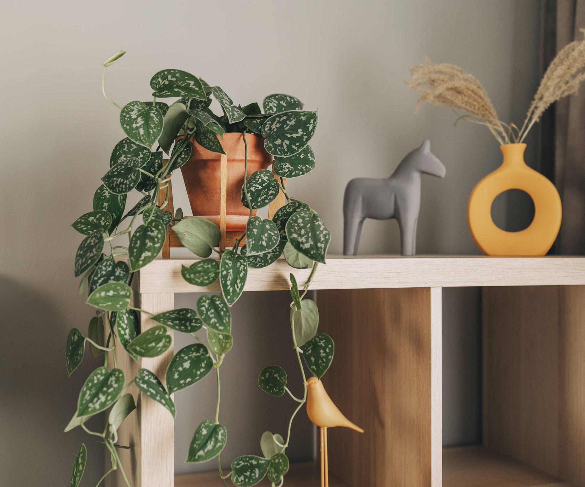 What Is Indirect Light? Grow Better Plants In Filtered Light ...